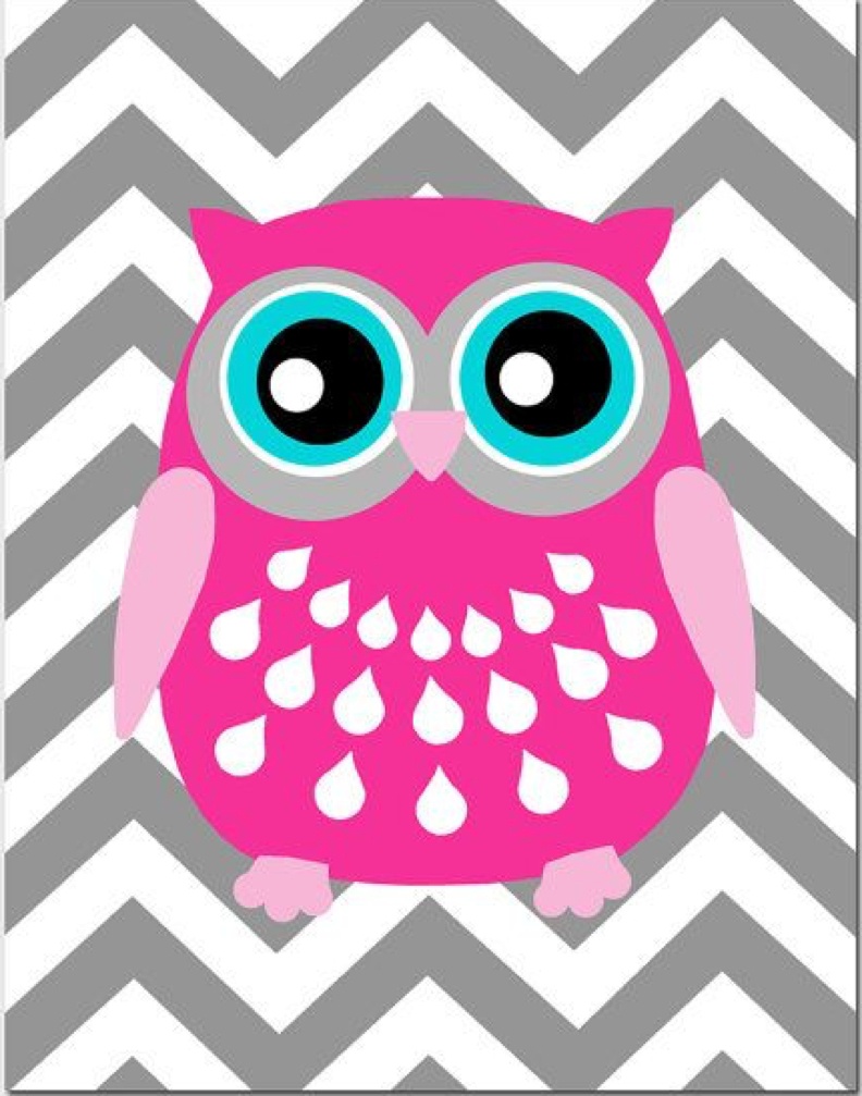 Rasterized owl illustration